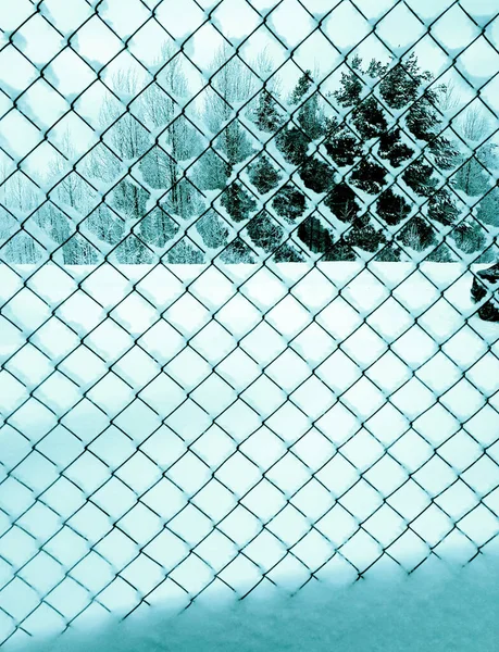 Demir ızgara, kışın bölgedeki bölgeyi bölüyor.