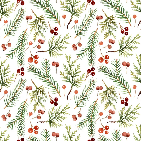Daimi yeşil ladin ve thuja dallarıyla suluboya deseni. Çevre yeşili tasarım ya da noel dekorasyonu için