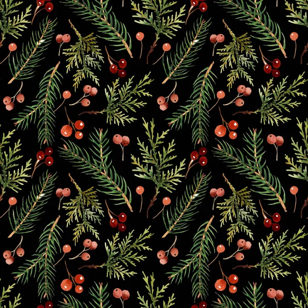 Daimi yeşil ladin ve thuja dallarıyla suluboya deseni. Çevre yeşili tasarım ya da Noel dekorasyonu için. Siyah arkaplan