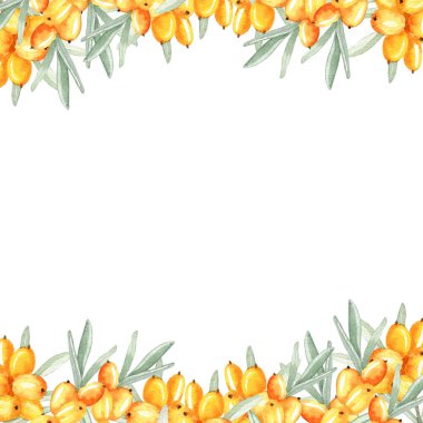 Suluboya el boyası, deniz dikenli dikenli resim çerçevesi. Sağlıklı yaşam tasarımı