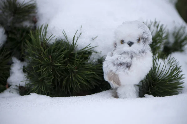 Παιχνίδι Owlet Κάτω Από Ένα Κλαδί Πεύκου Στο Χιόνι — Φωτογραφία Αρχείου