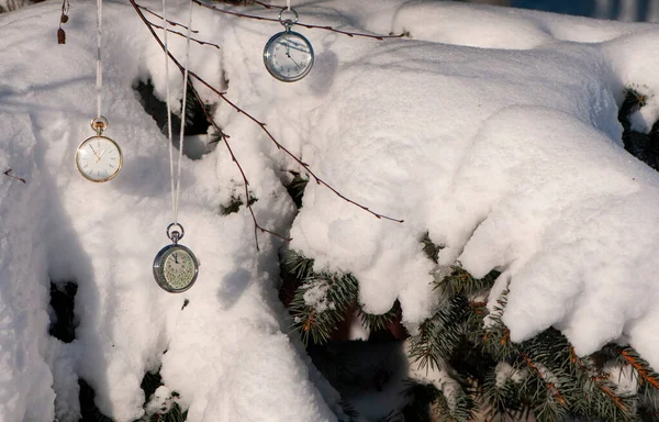 Decor Vintage Clock Tree Branch Winter — Stock Photo, Image