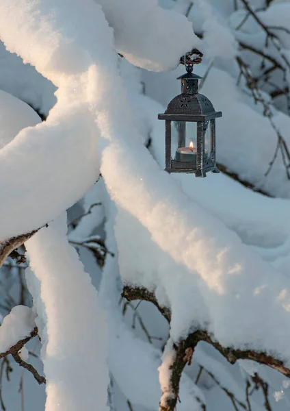 Liten Lykta Med Ett Ljus Gren Vinterskogen — Stockfoto