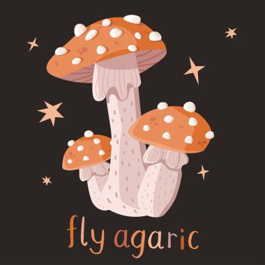 Set of three fly agaric mushrooms on a dark background