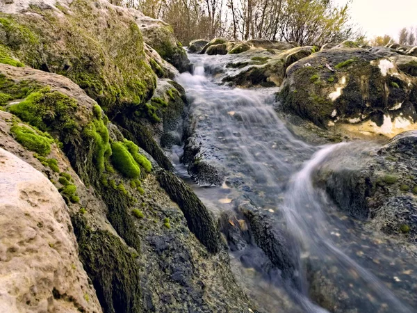 Moos Auf Felsen Einem Fließenden Fluss — Stockfoto