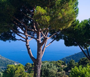 Otelden, Eze civarındaki masmavi sahile kadar olan manzara.