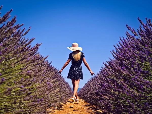 Vrouw Lavendelbloemenveld Valensole Frankrijk Provence — Stockfoto
