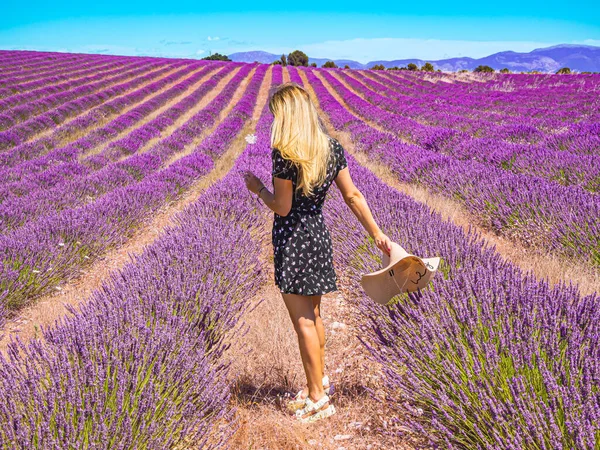 Güney Provence Valensole Fransa 'sında kafasında lavanta deseni olan çiçek desenli bir elbiseyle genç bir kızın fotoğrafını çek.