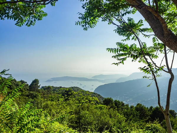 Coastal Vegetation Overlooking Mediterranean Bay — Stock Photo, Image