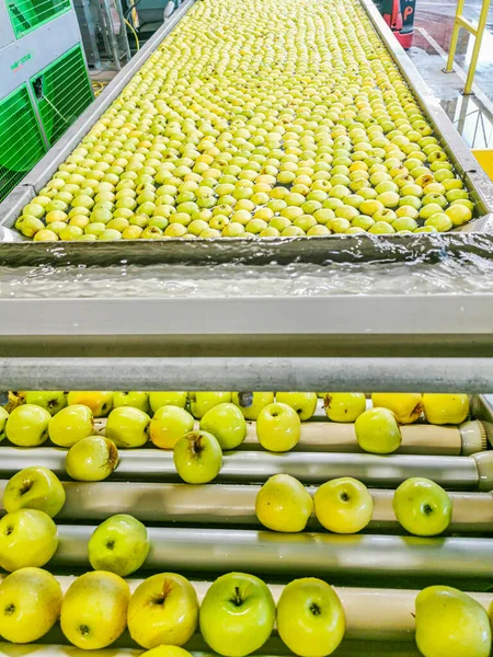 Process Preparing Apples Processing Pool Water Final Packaging Stage Production — 图库照片