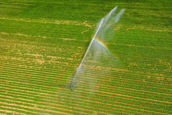 Aerial View Drone Field Being Irrigated Powerful Irrigation System — Stock Photo, Image