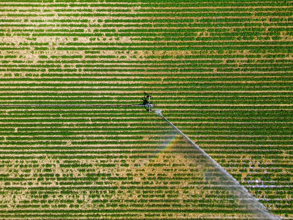 无人机对被强大灌溉系统灌溉的田野的空中观察 — 图库照片