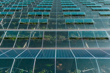 Greenhouse for growing vegetables with mounted photovoltaic panels