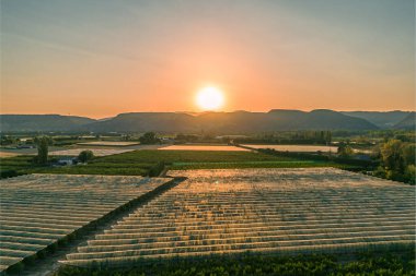 Panorama of the farmland and the mountain range during the sunset of Loriol Sur Drome - Drome - France