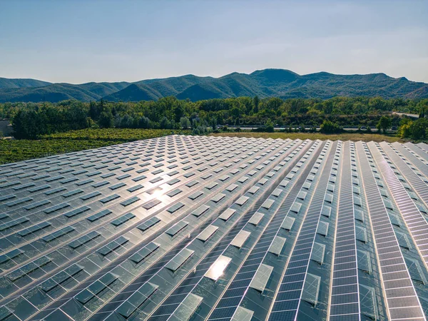 Greenhouse Growing Vegetables Mounted Photovoltaic Panels — Stock Photo, Image