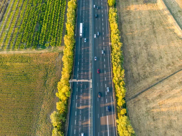 Highway from a bird\'s eye view. As the sun goes down, the sun\'s rays create beautiful long shadows on the ground. Yellow trees and surrounding farmland