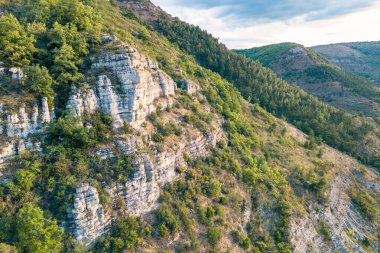 A limestone mountain slope overgrown with wild vegetation in southern France at sunset