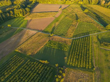 Rhone Nehri 'nin havadan görünüşü. Fransa 'nın Le Pouzin kasabasının yakınlarında. Gün batımında Etrafındaki tarlaları gölgeleyen ağaçlar. Gün batımında tarım arazisi. Ağaç gölgeleri
