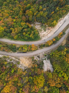 Yüksek bir dağdan gelen dolambaçlı bir yolun havadan görünüşü yoğun bir sonbahar ormanından geçer..