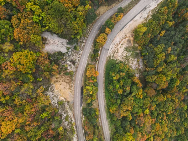 Aerial View Winding Road High Mountain Pass Dense Colorful Autumn — Stock Photo, Image