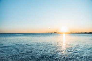 Sıcak gün batımı manzarası. Güzel deniz manzarası. Sıcak altın saat ışığı. Güzel Bulgar plajı, ünlü turizm beldesi..