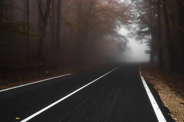 Asphalt road leading to the top of the hill at autumn in dense fog with low visibility. — Stock Photo, Image