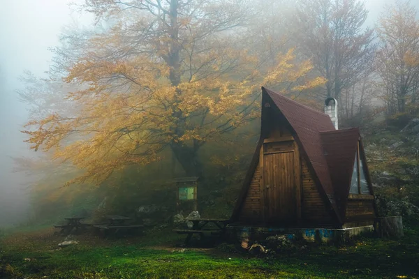 Holzdreieckshütte im Bergwald. Herbstliche Farben. Dichter Nebel. Atemberaubende Naturlandschaft mit Orangenbaum. — Stockfoto