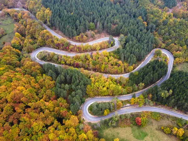 Fantastisk antenn syn på vägen med kurvor korsar tät skog i höstfärger i Bulgarien. Stockbild