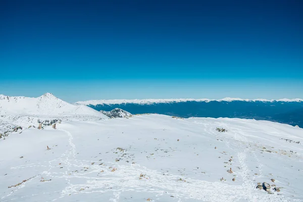 Atemberaubende Berghügel in Bulgarien. Bedeckt mit weißem Schnee Bergspitze. Bäume sind darunter abgedeckt. Blauer Himmel über uns. — Stockfoto