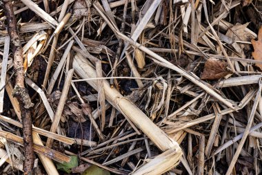 Yapraklar, ahşap cips ve samanla sonbahar mevsiminin dokusu.