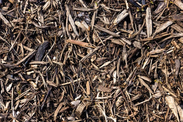 Textuur achtergrond van de herfst seizoen met bladeren, houten chips en hooi. — Stockfoto