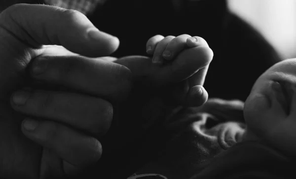 Baby Holds Parents Finger Hand Black White Silhouette Photo Studio - Stock-foto