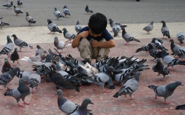 Barcelona, Spain, September 2, 2009: In square Catalunya a group of pigeons surrounds a child who feeds them and watches them attentively