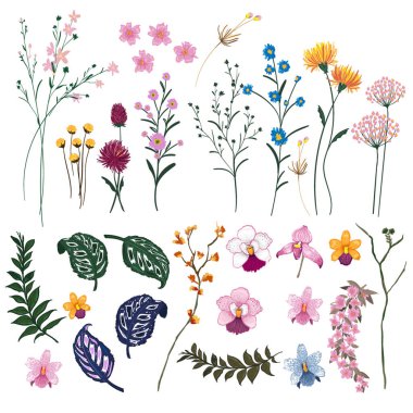 kalıplar ayrıştırılıyor vektör etnik