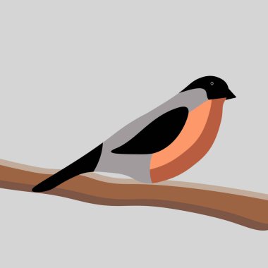 Şube vektöründeki kuş