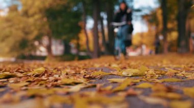 Sarı bir sonbahar yolunda bisiklet süren insanlar renkli yapraklarla kaplı.. 