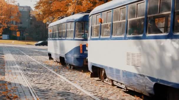 Tram che scende le rotaie attraverso il parco arancione durante l'autunno. — Video Stock
