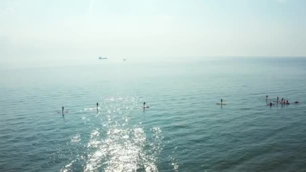 Group of young people doing SUP, Stand up Paddle in Malmo. — Stock Video