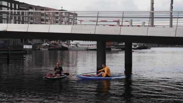 Skupina mladých lidí dělá SUP, vstát pádlo v Malmö. — Stock video