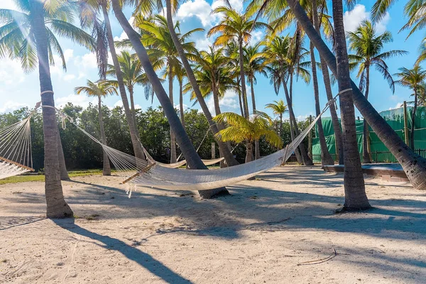 Cancun Meksyk Maja 2021 Hamak Wiszący Drzewie Plaży Malowniczy Widok — Zdjęcie stockowe
