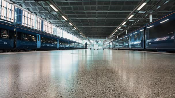 4k Timelapse van drukke treinstation mensen reizen. — Stockvideo