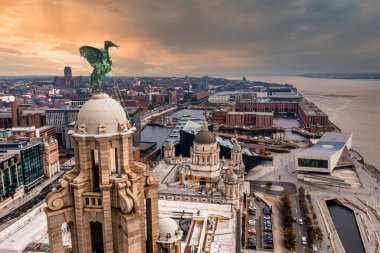 İngiltere 'nin Liverpool şehrinde gün doğumunda çekilmiş karaciğer kuşlarının hava görüntüsü..