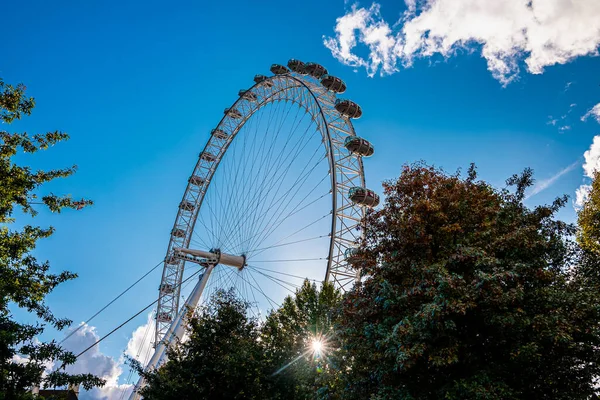 Utsikt över London Eye vid solnedgången. London Eye — Stockfoto