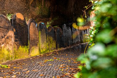 Yol boyunca mezar taşında isimleri yazan St. Jamess Mezarlığı