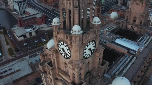 Gros plan aérien de la tour du Royal Liver Building à Liverpool — Video