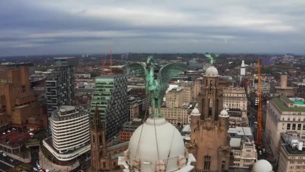 Flygfoto nära tornet på Royal Liver Building i Liverpool, Storbritannien. — Stockvideo
