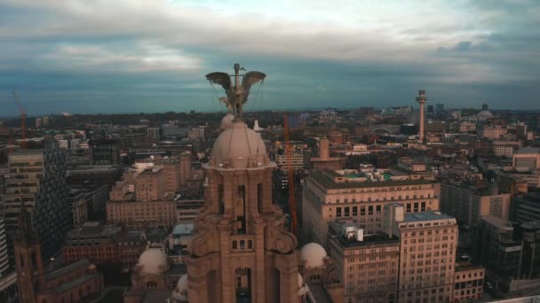Veduta aerea ravvicinata della torre del Royal Liver Building a Liverpool, Regno Unito. — Video Stock