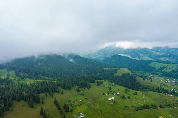 Río de montaña flotando a través del bosque verde en los Alpes, Suiza. — Foto de Stock