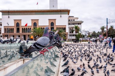 Kazablanka 'da Muhammed V Meydanı' ndaki Adalet Sarayı