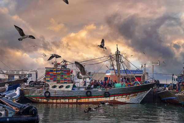 Fishing boats anchored beside pier at marina against dramatic cloudy sky — Fotografia de Stock